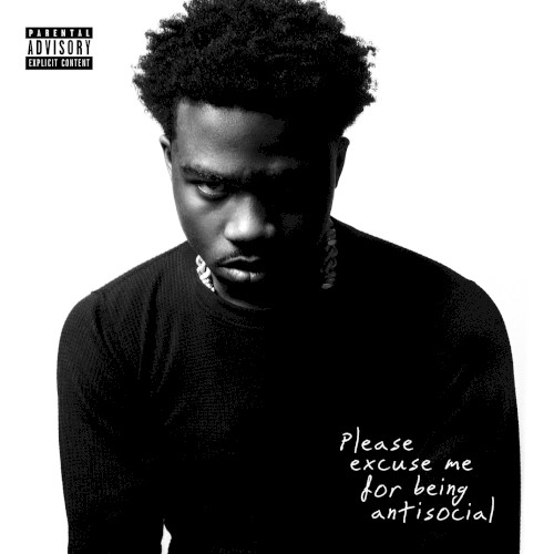 Please Excuse Me for Being Antisocial cover