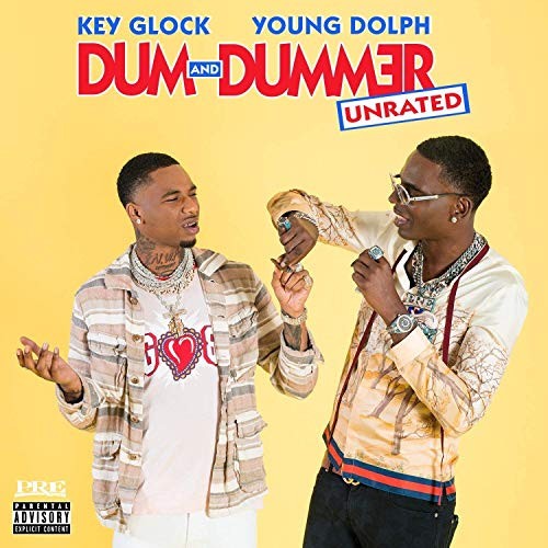 Dum and Dummer cover