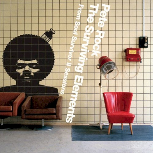 The Surviving Elements: From Soul Survivor II Sessions cover